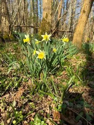 Lägenhet Jade Et Jena Bazicourt